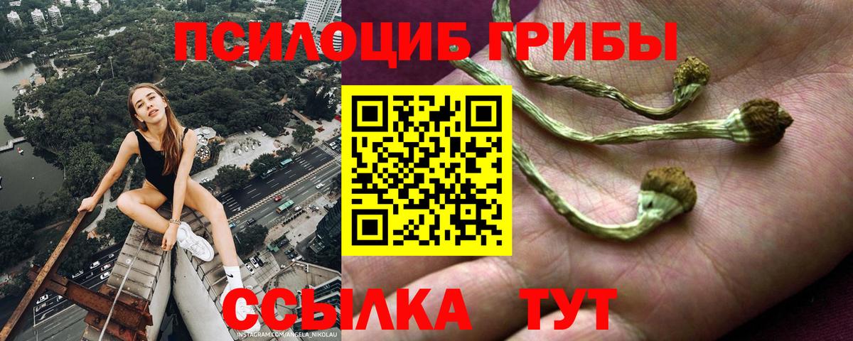 Галлюциногенные грибы Magic Shrooms  Вход с VPN  Галлюциногенные грибы GOLDEN TEACHER  Орехово-Зуево 